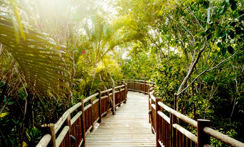 Vidanta Riviera Maya Grand Bliss Two-Bedroom Luxury Suite - Riviera Maya, Mexico