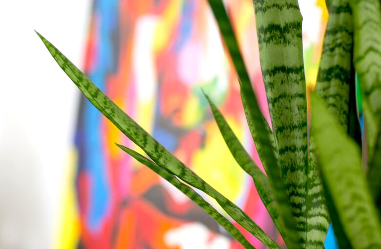 Sydney's Iconic Yellow House Pad - Potts Point, Australia