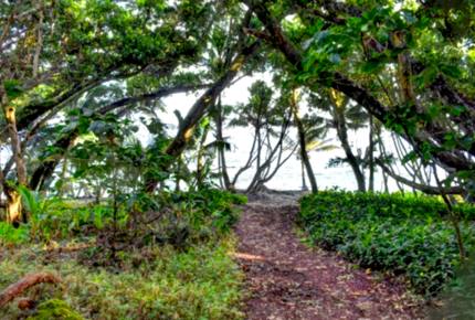 Treehouse in Paradise - Pahoa, Big Island, Hawaii