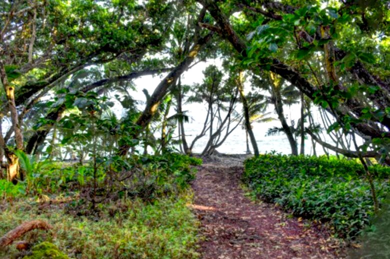 Treehouse in Paradise - Pahoa, Big Island, Hawaii