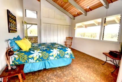 Treehouse in Paradise - Pahoa, Big Island, Hawaii