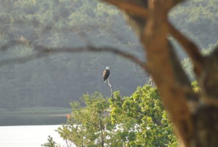 Ferndale - Phippsburg, Maine