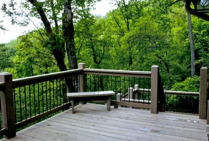 Bear Paw Mountain Retreat - Franklin, North Carolina