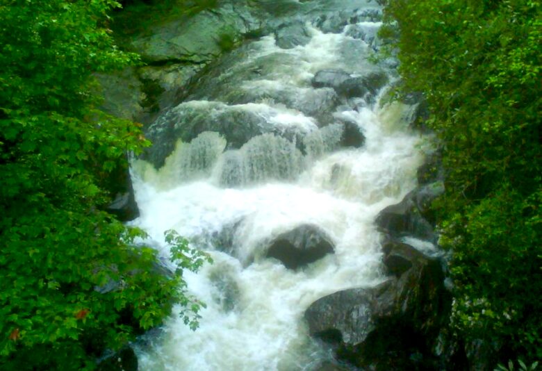 Bear Paw Mountain Retreat - Franklin, North Carolina