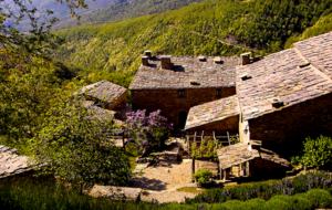 Borgo di Vagli - Two Bedroom Residence - Cortona, Italy