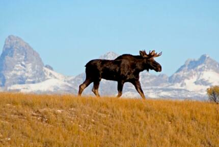 Teton Overlook - Tetonia, Idaho