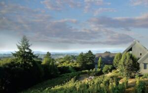 Halleck Vineyard - 2 Bedroom Suite - Napa/Sonoma Area - Sebastopol, California