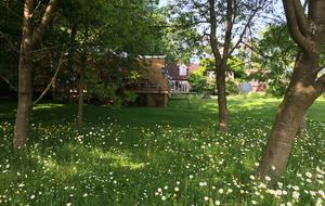 The Copse - Near Henley on Thames, Oxfordshire, United Kingdom