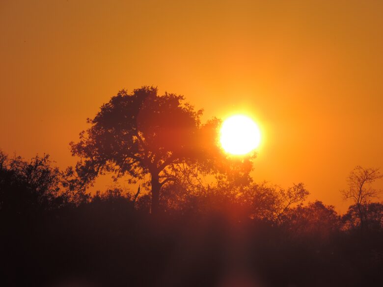 Makanyi Private Game Lodge - Hoedspruit, South Africa