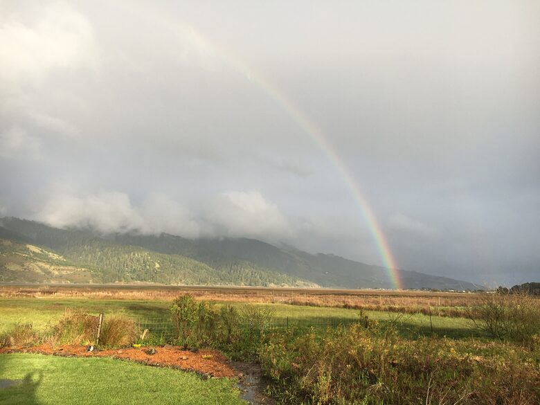 Magical Bolinas Retreat - Bolinas, California