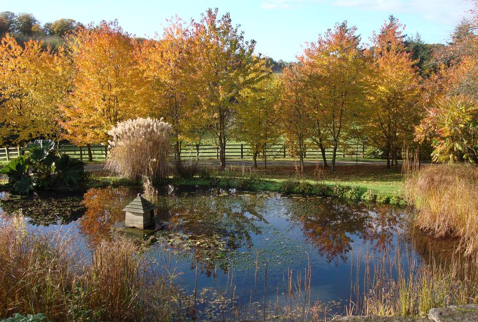 The Copse - Near Henley on Thames, Oxfordshire, United Kingdom