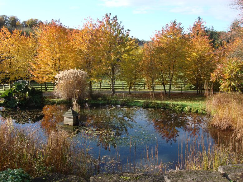 The Copse - Near Henley on Thames, Oxfordshire, United Kingdom