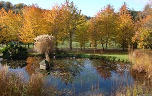 The Copse - Near Henley on Thames, Oxfordshire, United Kingdom