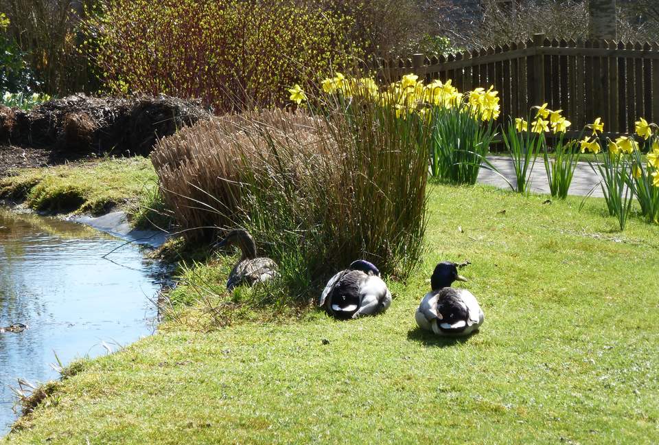 The Copse - Near Henley on Thames, Oxfordshire, United Kingdom