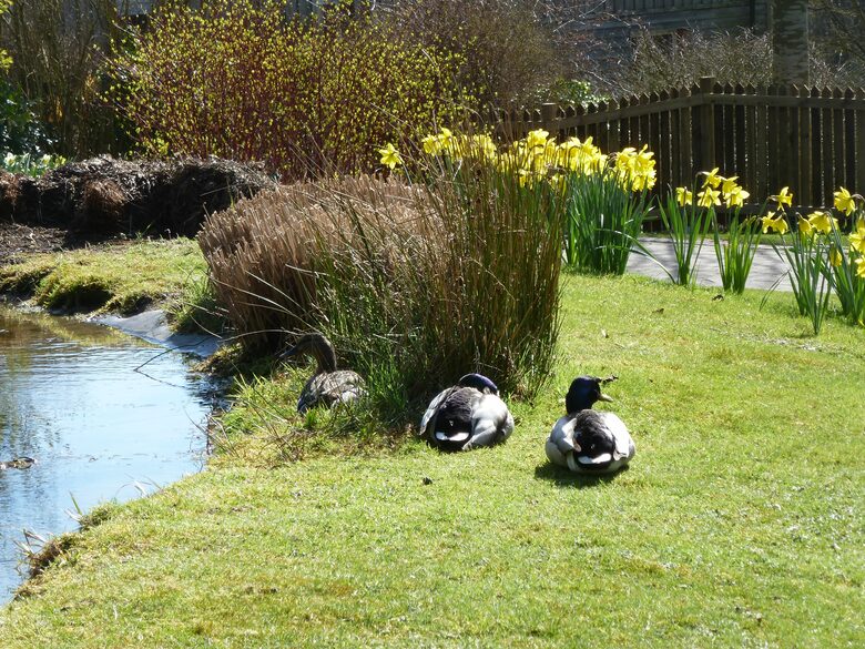 The Copse - Near Henley on Thames, Oxfordshire, United Kingdom