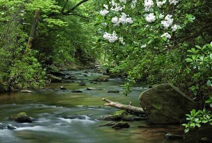 The Roost - Big Canoe - Jasper, Georgia