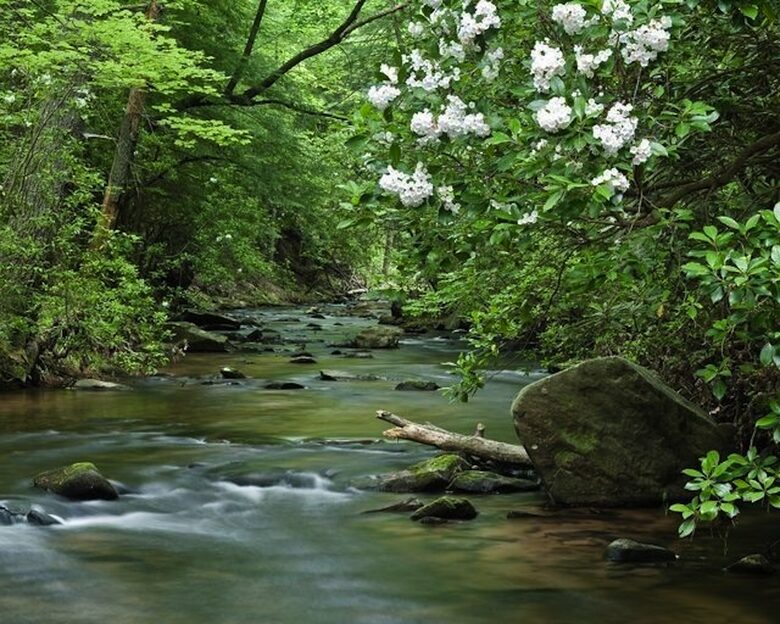 The Roost - Big Canoe - Jasper, Georgia