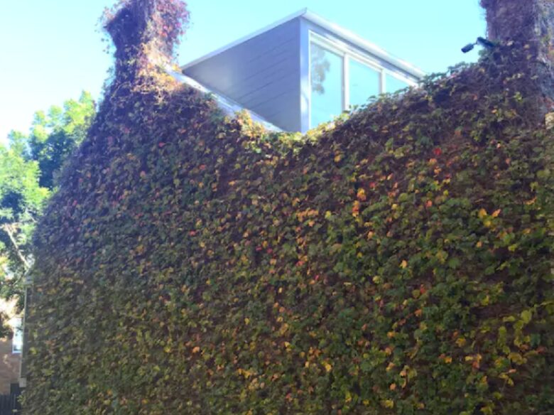 Modern Sydney Terrace House - Surry Hills, Australia