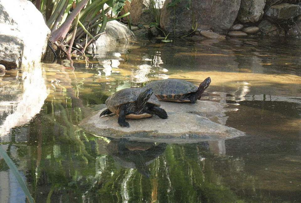 Failla Villa Retreat - Ramona, California