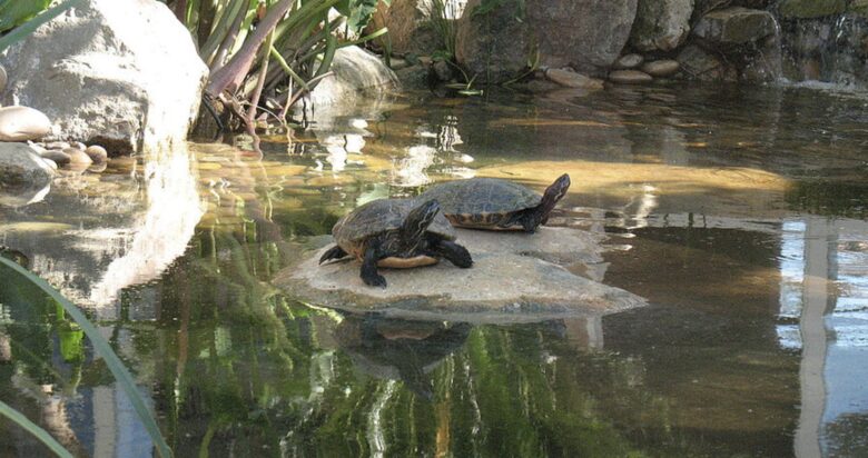 Failla Villa Retreat - Ramona, California