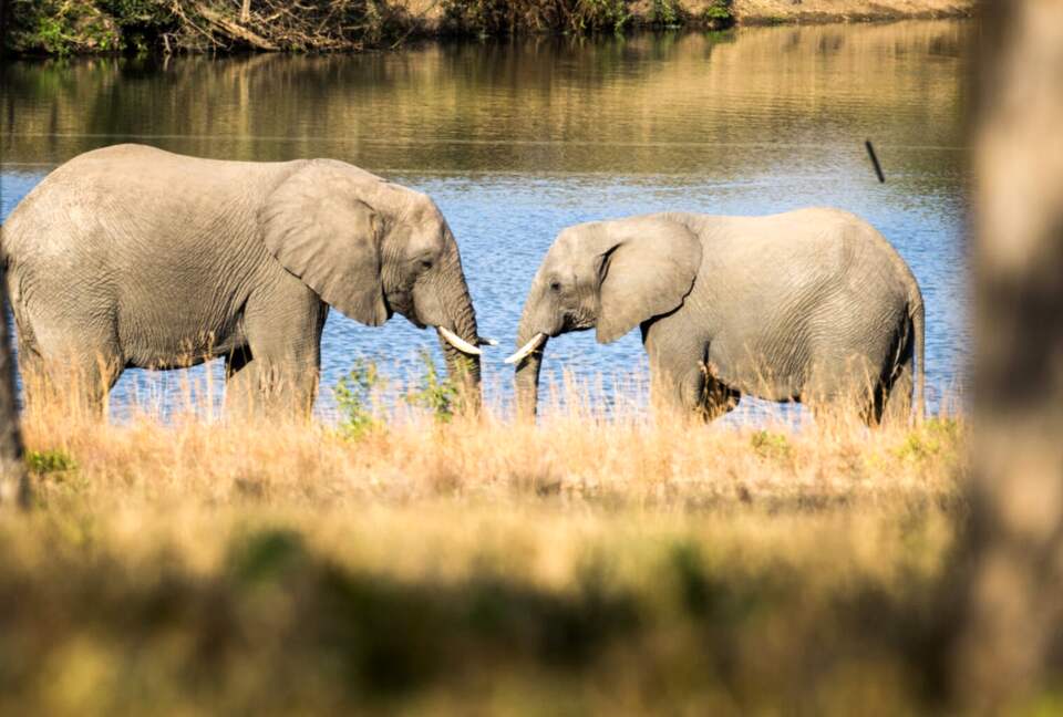 Makanyi Private Game Lodge - Hoedspruit, South Africa
