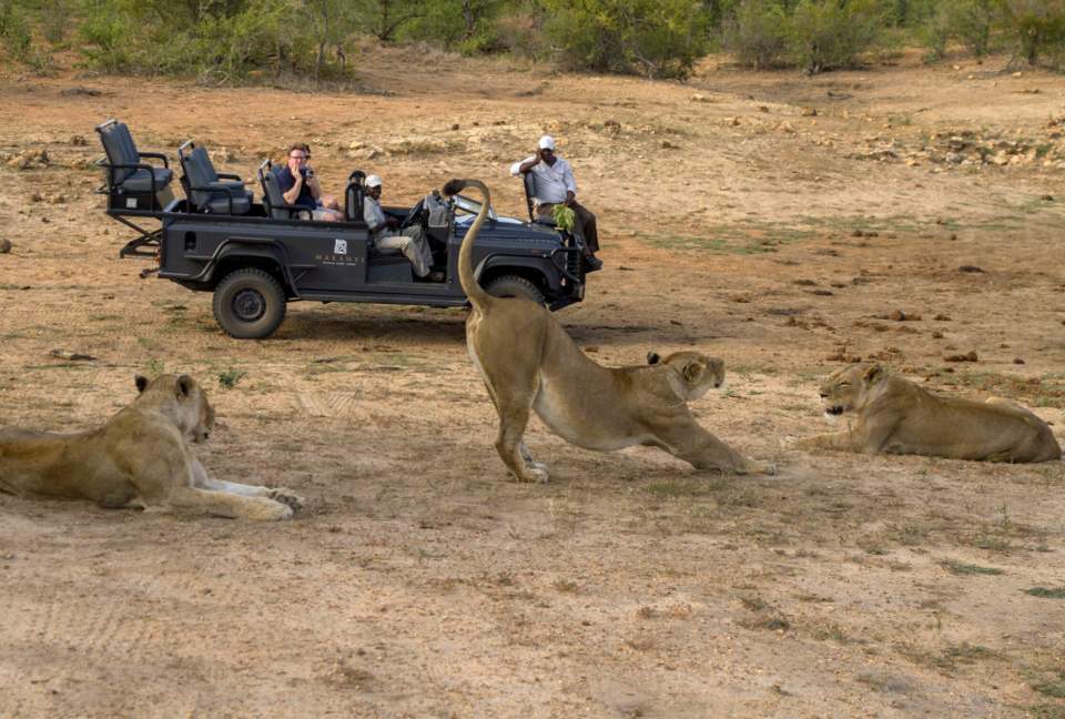 Makanyi Private Game Lodge - Hoedspruit, South Africa