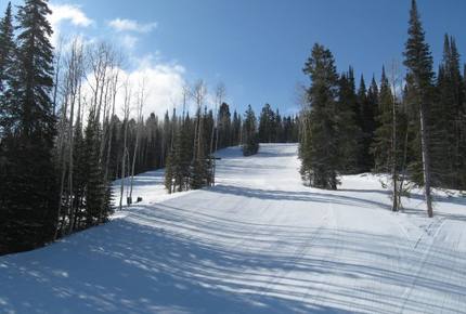 Larkspur at Deer Valley - Park City, Utah