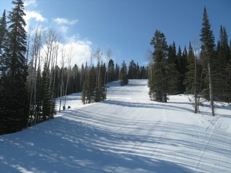 Larkspur at Deer Valley - Park City, Utah