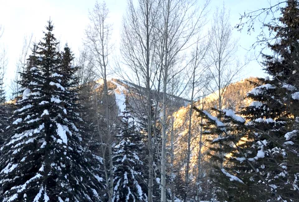 Charming Sun Valley Retreat - Ketchum, Idaho