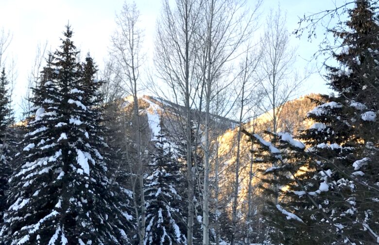 Charming Sun Valley Retreat - Ketchum, Idaho