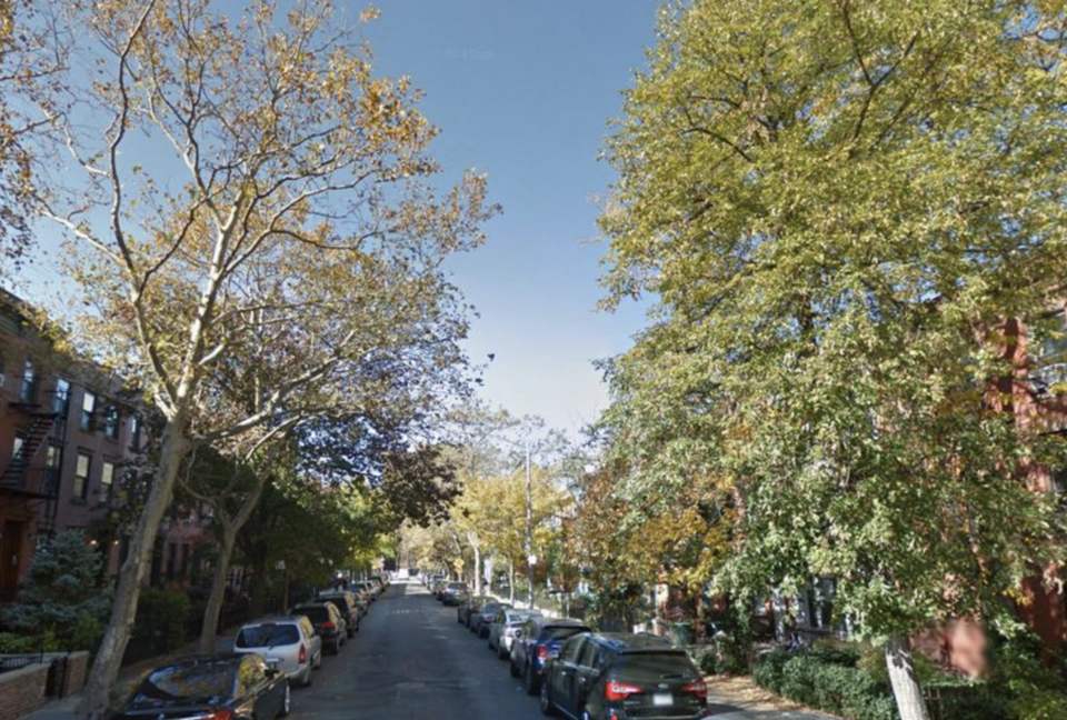 Brooklyn Dream - Brooklyn, New York