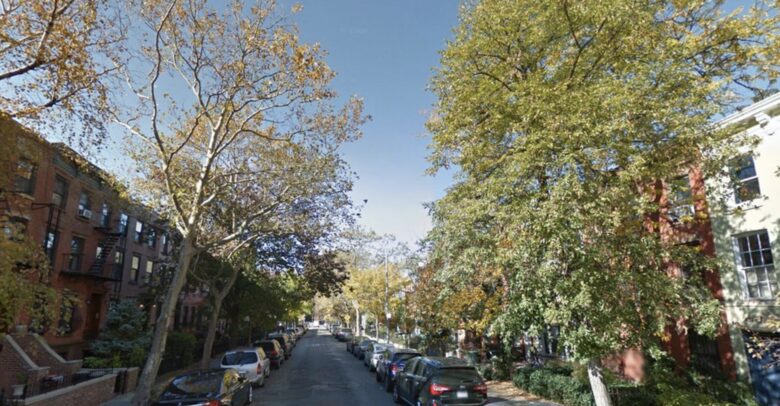 Brooklyn Dream - Brooklyn, New York