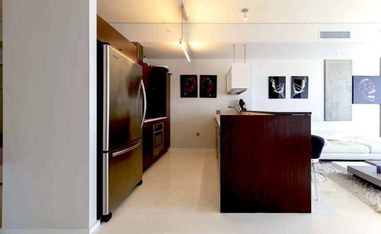 EVO South Downtown Luxury Loft - Los Angeles, California