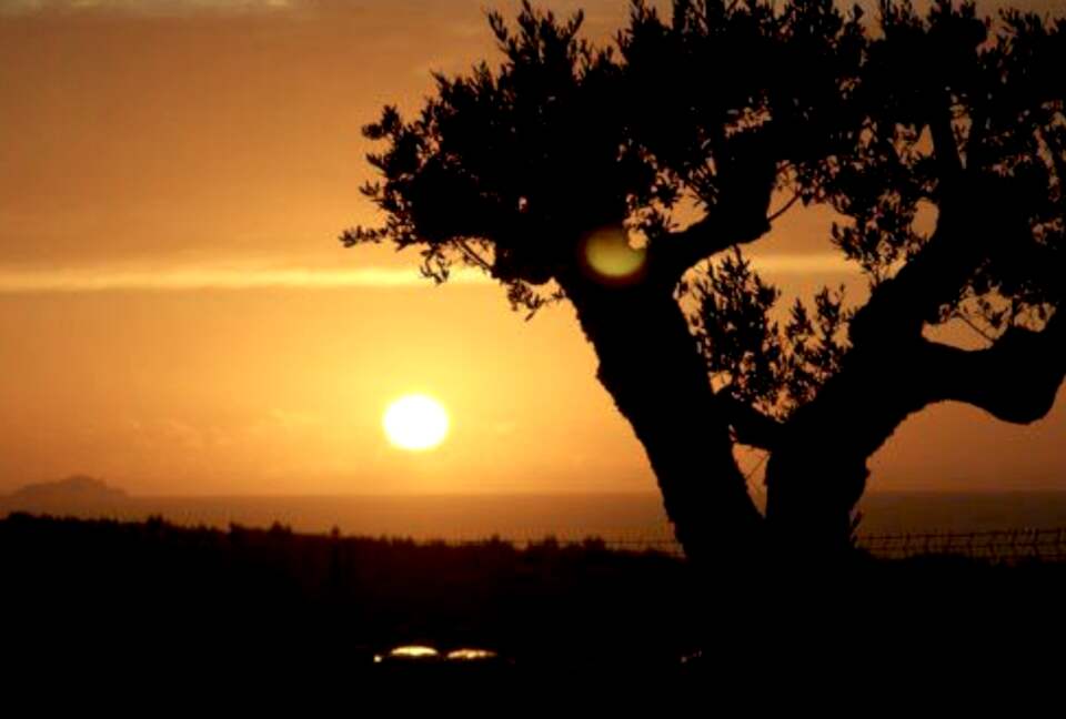 Bom Sucesso Golf Resort - Three-Bedroom Villa - Vau - Óbidos, Portugal