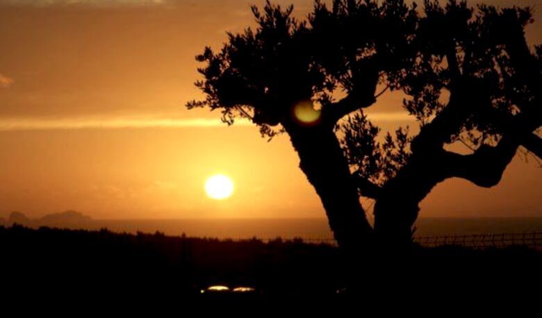 Bom Sucesso Golf Resort - Three-Bedroom Villa - Vau - Óbidos, Portugal