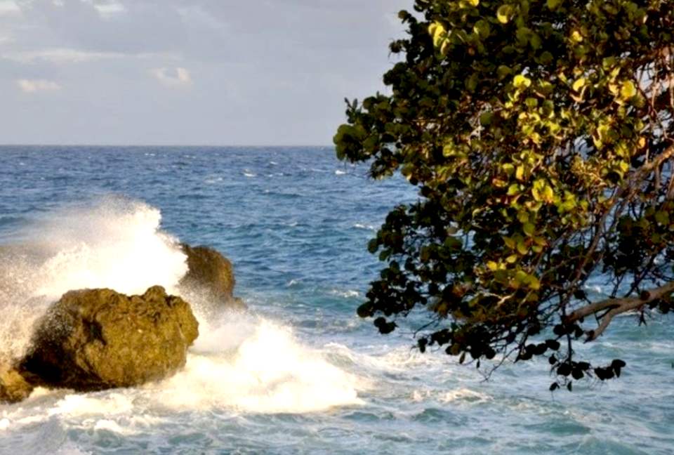 Ocean Front Caribbean Sea Villa - Brown Shuggah (Ocho Rios) - Llandovery Estate, Jamaica