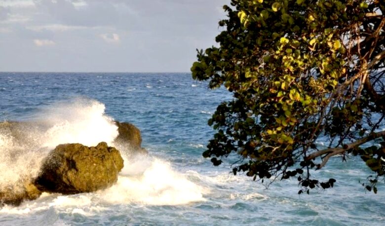 Ocean Front Caribbean Sea Villa - Brown Shuggah (Ocho Rios) - Llandovery Estate, Jamaica