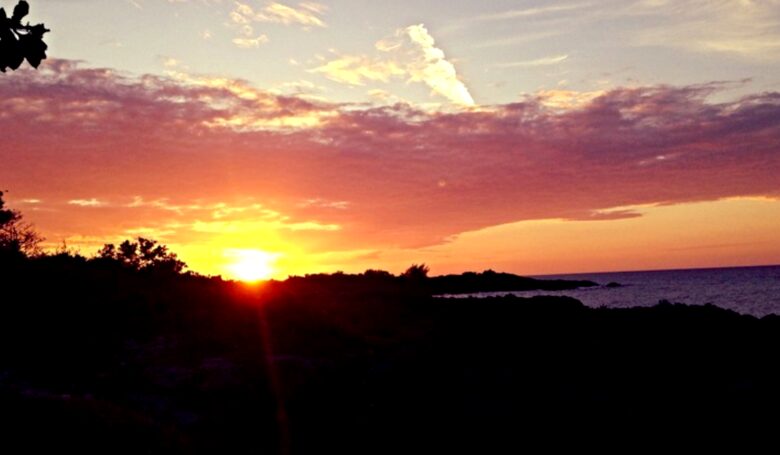 Ocean Front Caribbean Sea Villa - Brown Shuggah (Ocho Rios) - Llandovery Estate, Jamaica