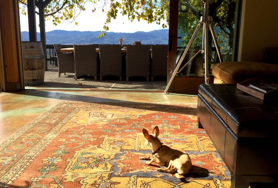 Spectacular Napa Valley V12 Vineyard Cottage with Private Tasting! - Napa, California