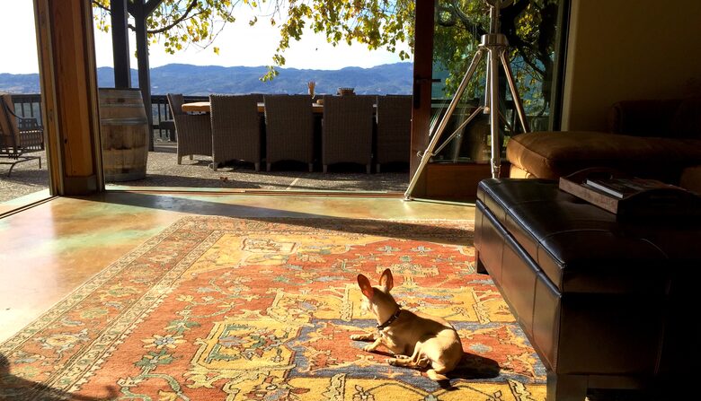 Spectacular Napa Valley V12 Vineyard Cottage with Private Tasting! - Napa, California