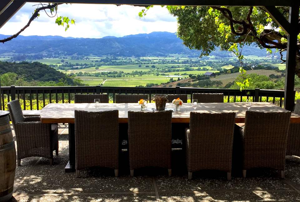 Spectacular Napa Valley V12 Vineyard Cottage with Private Tasting! - Napa, California