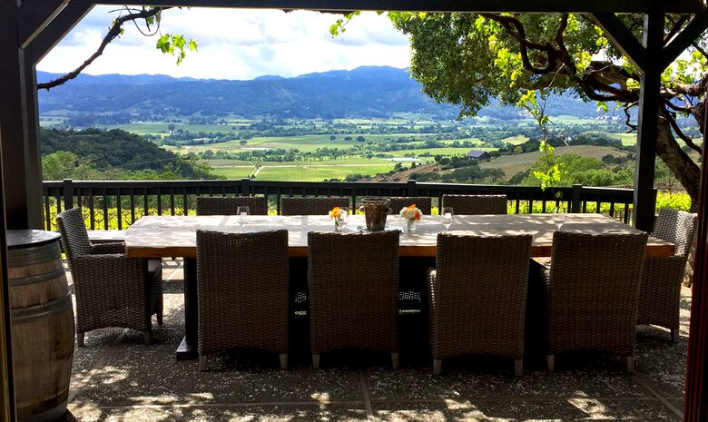 Spectacular Napa Valley V12 Vineyard Cottage with Private Tasting! - Napa, California