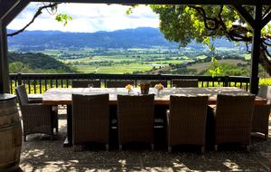 Spectacular Napa Valley V12 Vineyard Cottage with Private Tasting! - Napa, California