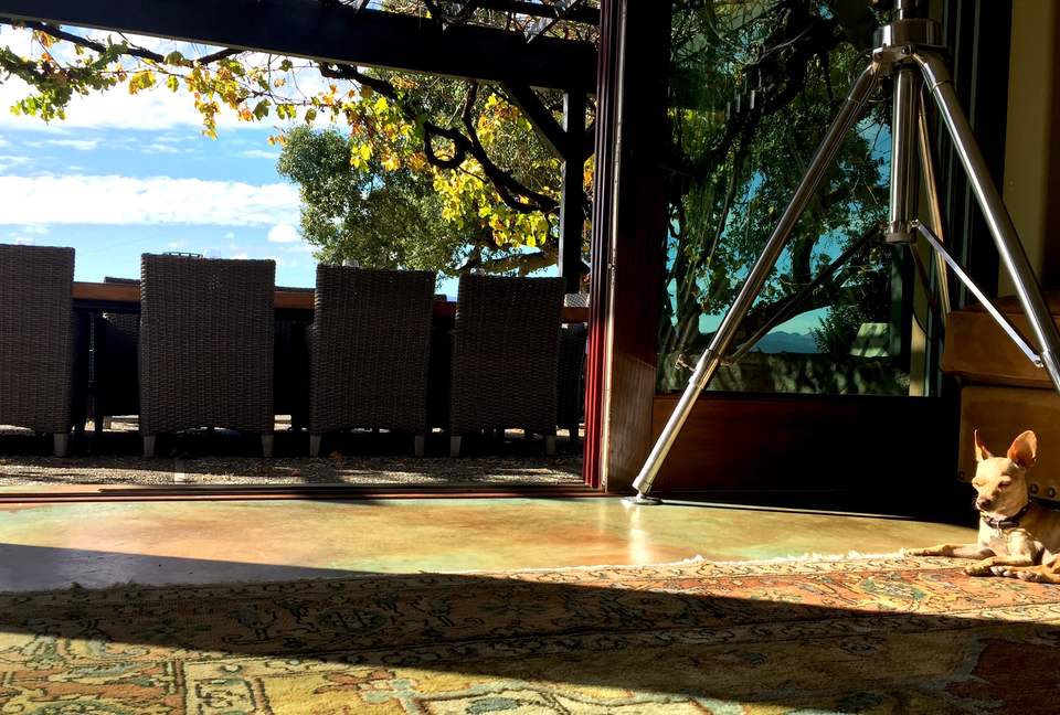 Spectacular Napa Valley V12 Vineyard Cottage with Private Tasting! - Napa, California