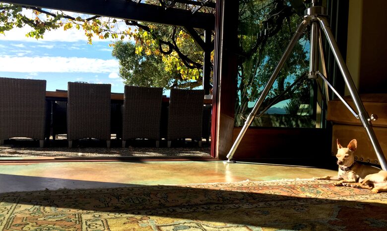 Spectacular Napa Valley V12 Vineyard Cottage with Private Tasting! - Napa, California