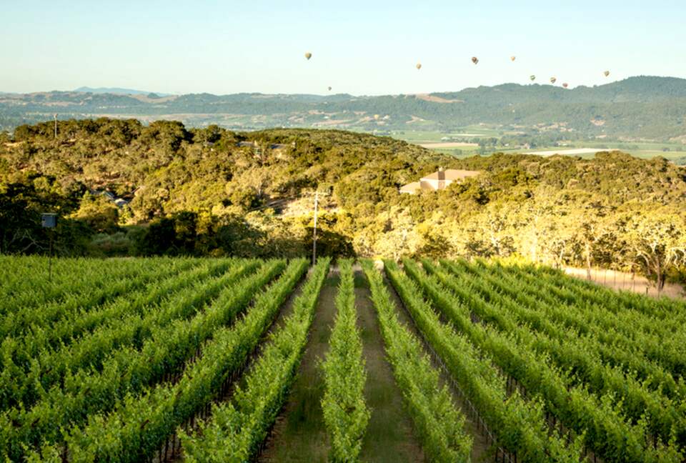 Spectacular Napa Valley V12 Vineyard Cottage with Private Tasting! - Napa, California