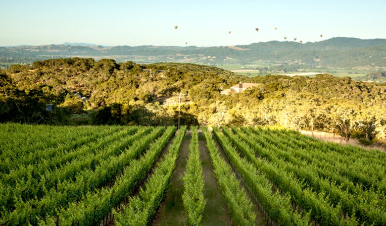 Spectacular Napa Valley V12 Vineyard Cottage with Private Tasting! - Napa, California