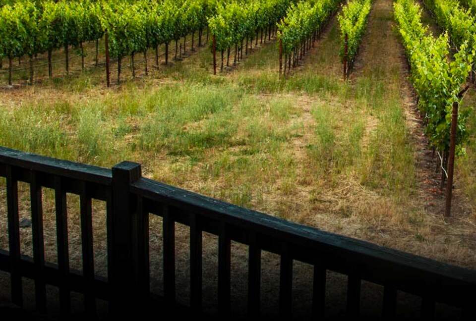 Spectacular Napa Valley V12 Vineyard Cottage with Private Tasting! - Napa, California