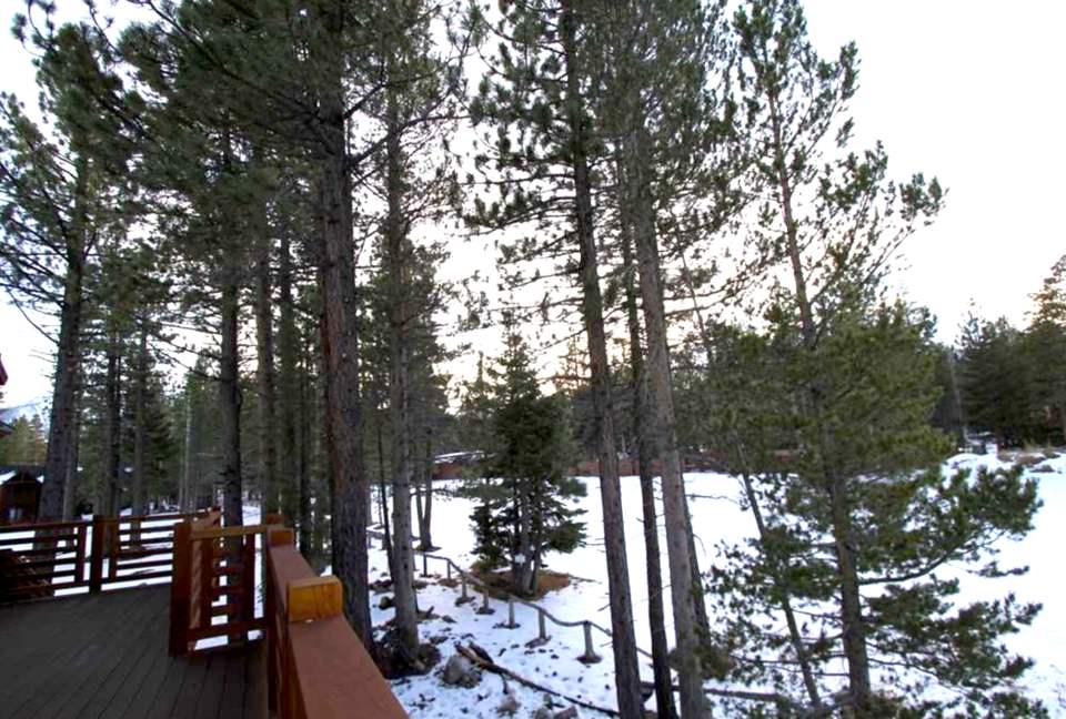 Graybear Luxury Residence - Mammoth Lakes, California