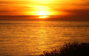 Ocean Front Getaway - Harwich Port, Massachusetts